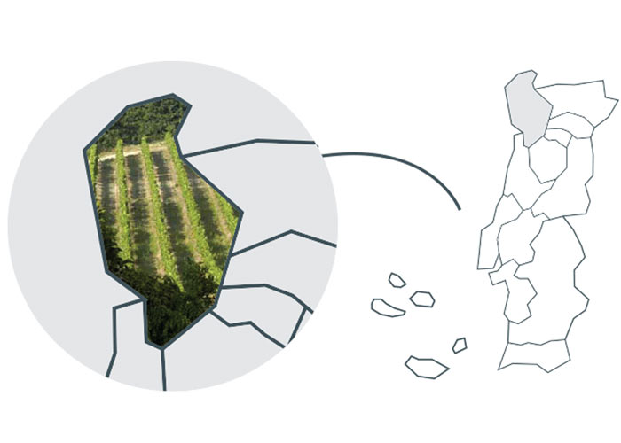 Vinhos regi&atilde;o Minho