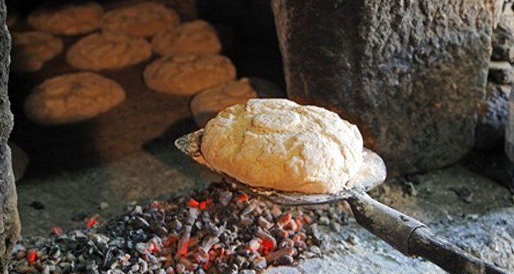 gastronomias.net